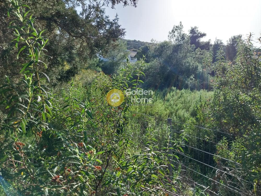 Building Plot in ATE, Anavissos — Photo 6 of 7