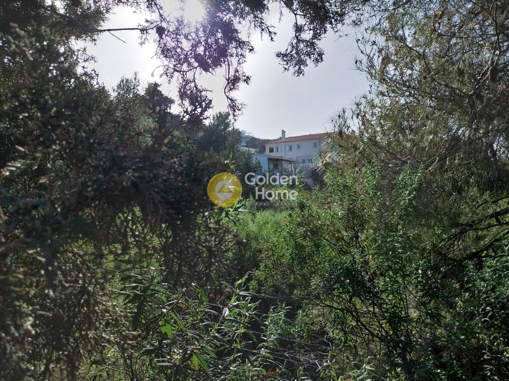 Building Plot in ATE, Anavissos — Photo 7 of 7