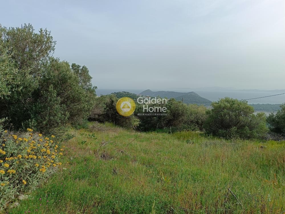 Οικόπεδο στην Άγιος Παντελεήμονας, Νέα Μάκρη — Φωτογραφία 1 από 13