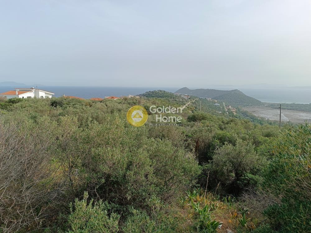 Οικόπεδο στην Άγιος Παντελεήμονας, Νέα Μάκρη — Φωτογραφία 11 από 13