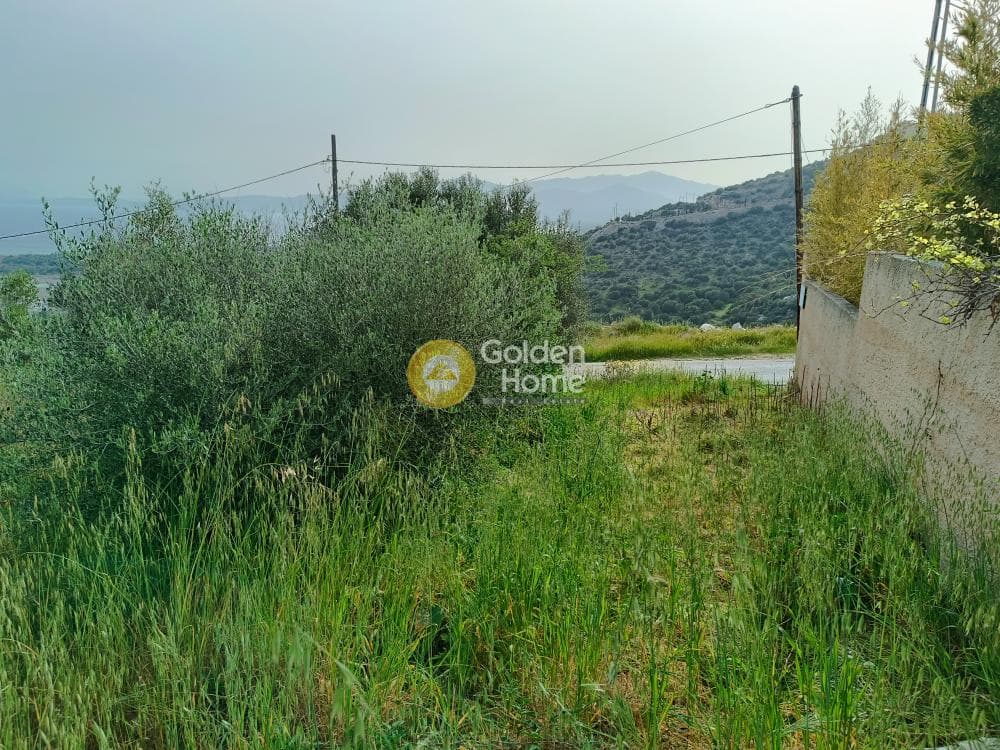 Οικόπεδο στην Άγιος Παντελεήμονας, Νέα Μάκρη — Φωτογραφία 12 από 13