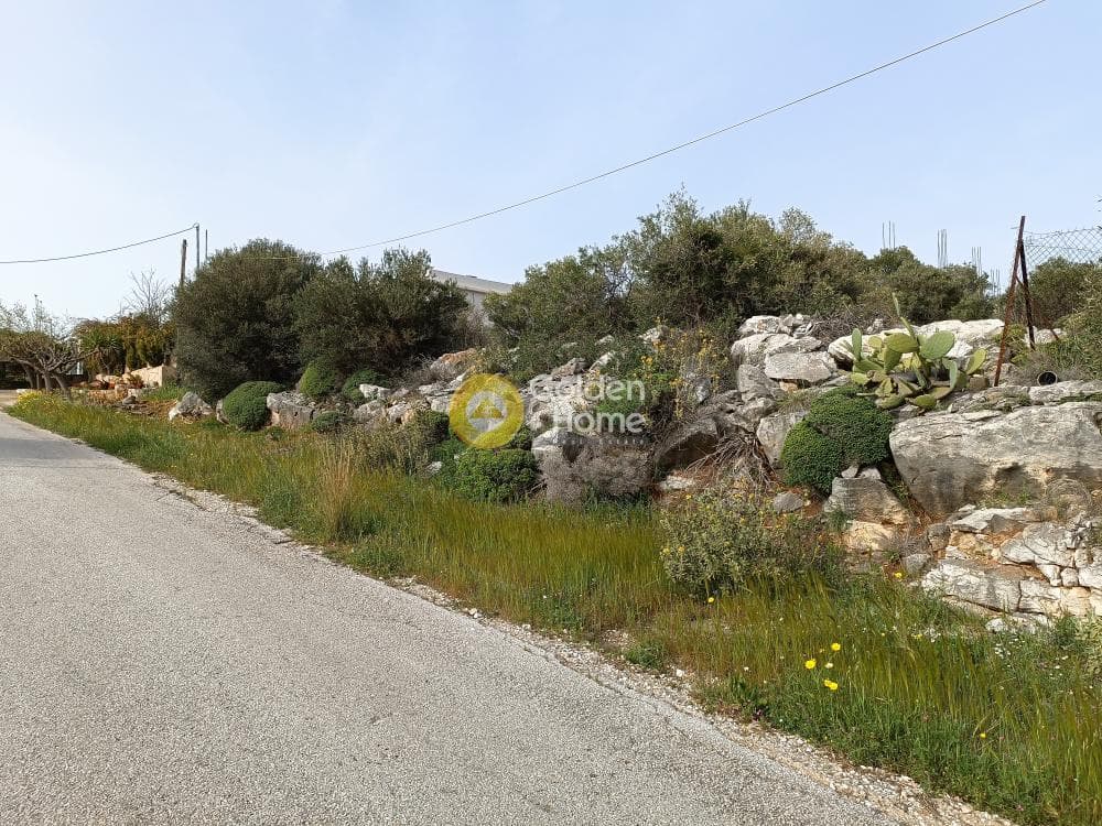 Οικόπεδο στην Άγιος Παντελεήμονας, Νέα Μάκρη — Φωτογραφία 6 από 13