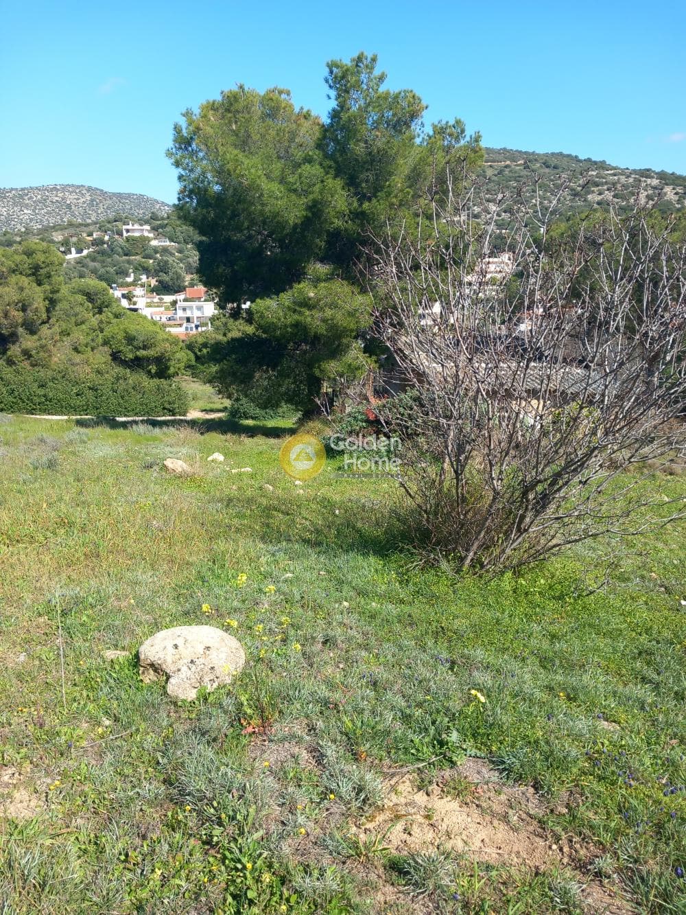Parcel in Galazia akti, Kalivia Thorikou — Photo 4 of 11
