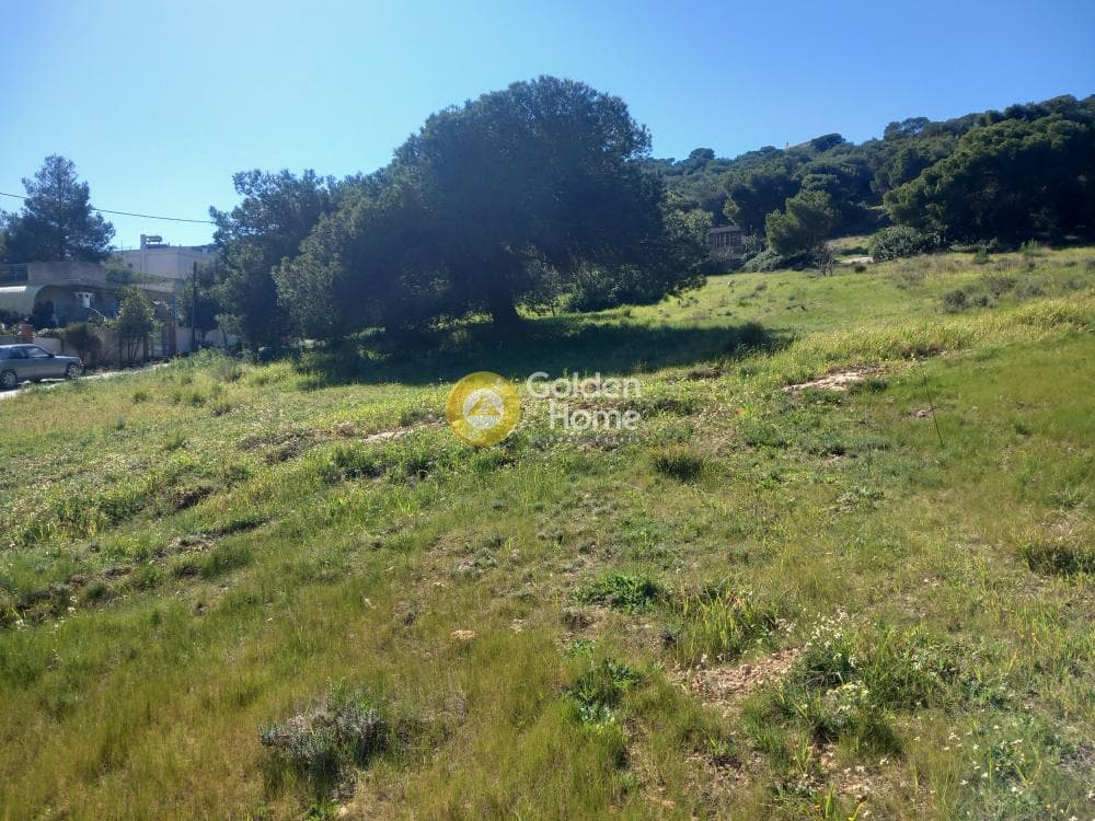 Parcel in Galazia akti, Kalivia Thorikou — Photo 7 of 11