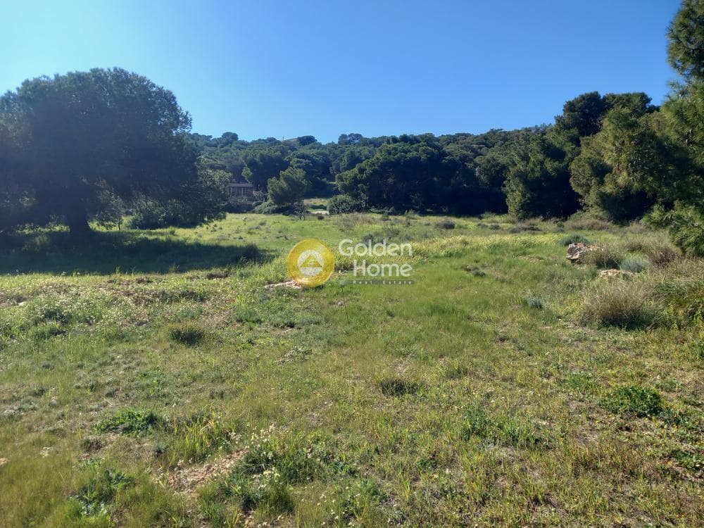 Parcel in Galazia akti, Kalivia Thorikou — Photo 8 of 11