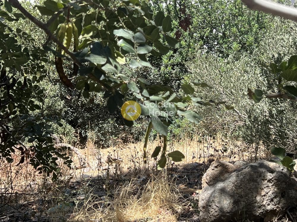 Οικόπεδο στην Άγιος Νικόλαος, Μάλλια — Φωτογραφία 1 από 3