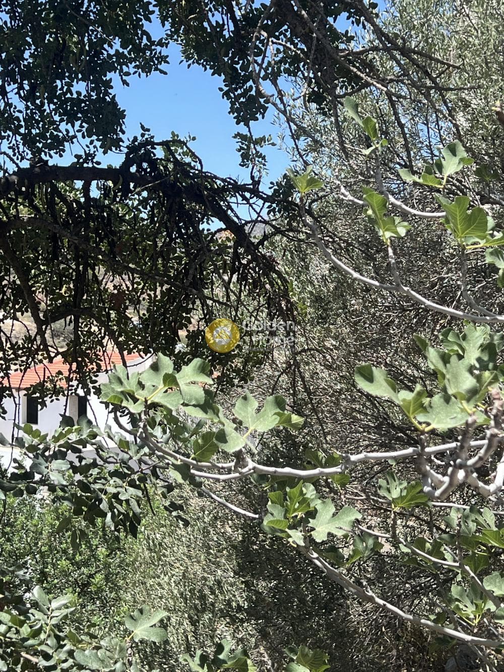 Οικόπεδο στην Άγιος Νικόλαος, Μάλλια — Φωτογραφία 2 από 3