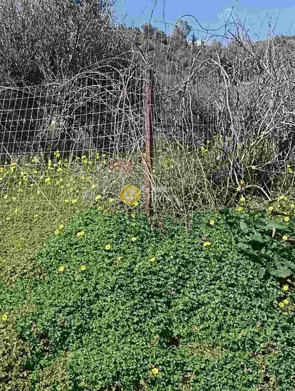 Οικόπεδο στην Σταυράκια, Τετραχώρι — Φωτογραφία 4 από 4