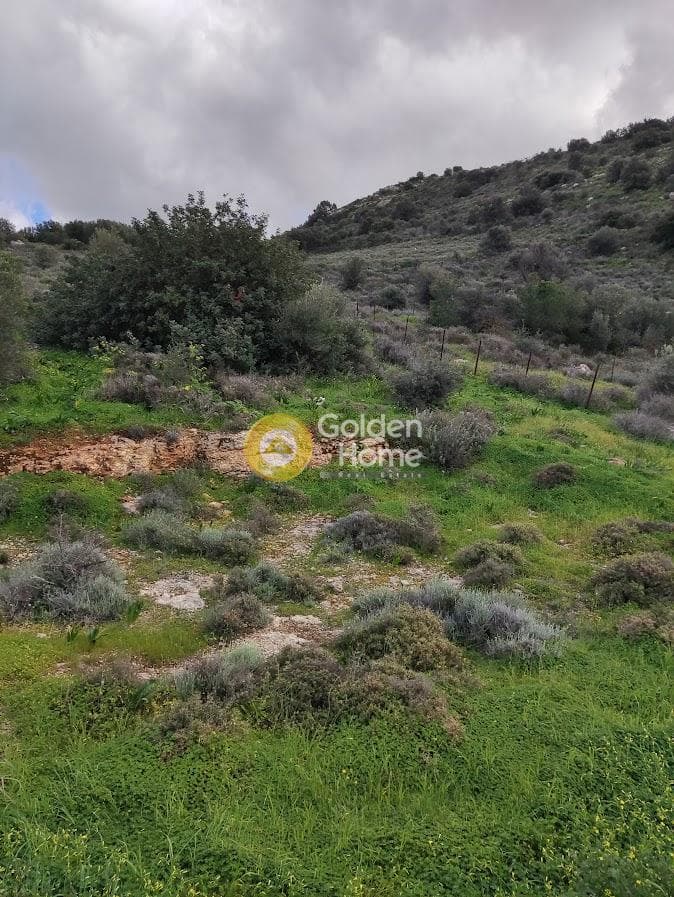Building Plot in Kouses, Moires — Photo 3 of 6