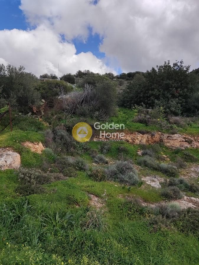 Building Plot in Kouses, Moires — Photo 4 of 6