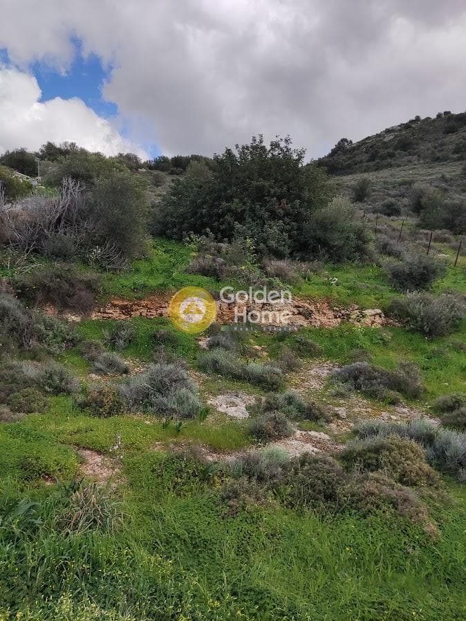 Building Plot in Kouses, Moires — Photo 5 of 6