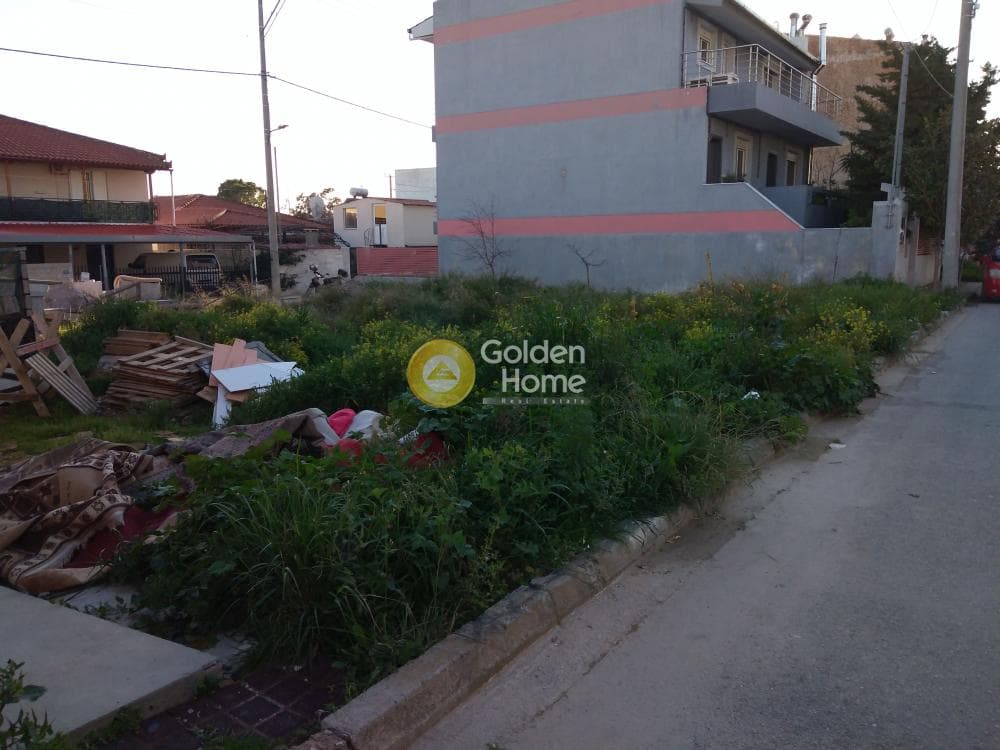 Building Plot in Megala Sxoinia A, Acharnes — Photo 6 of 7
