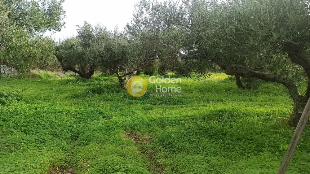 Οικόπεδο στην Κάτω Γούβες, Γούβες