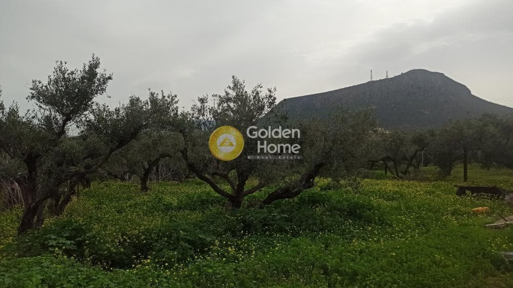Οικόπεδο στην Κάτω Γούβες, Γούβες — Φωτογραφία 1 από 4