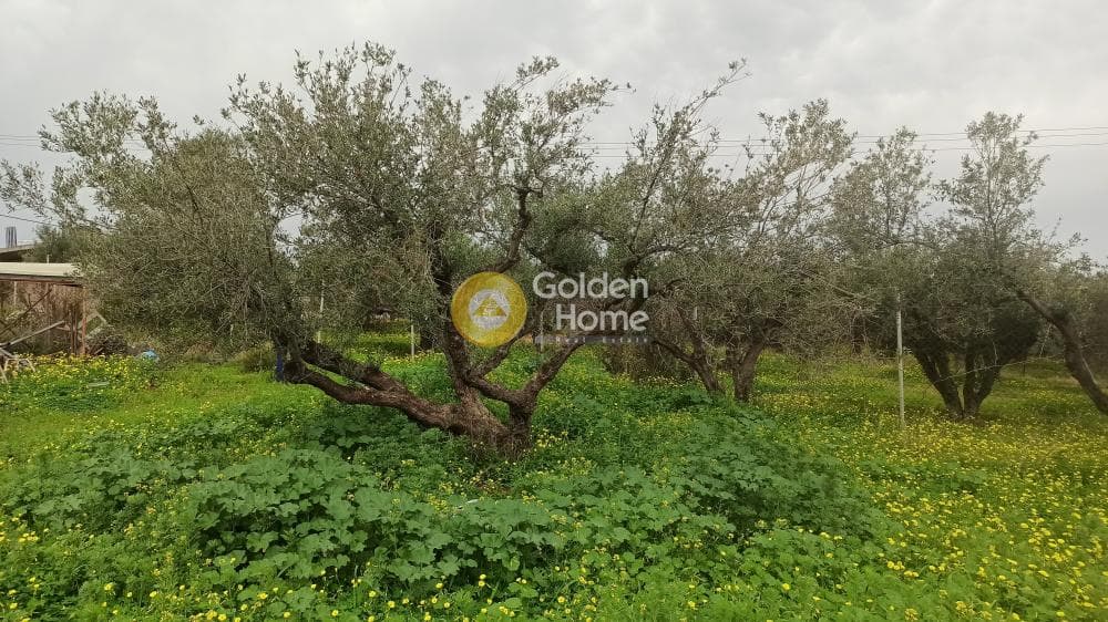 Οικόπεδο στην Κάτω Γούβες, Γούβες — Φωτογραφία 2 από 4