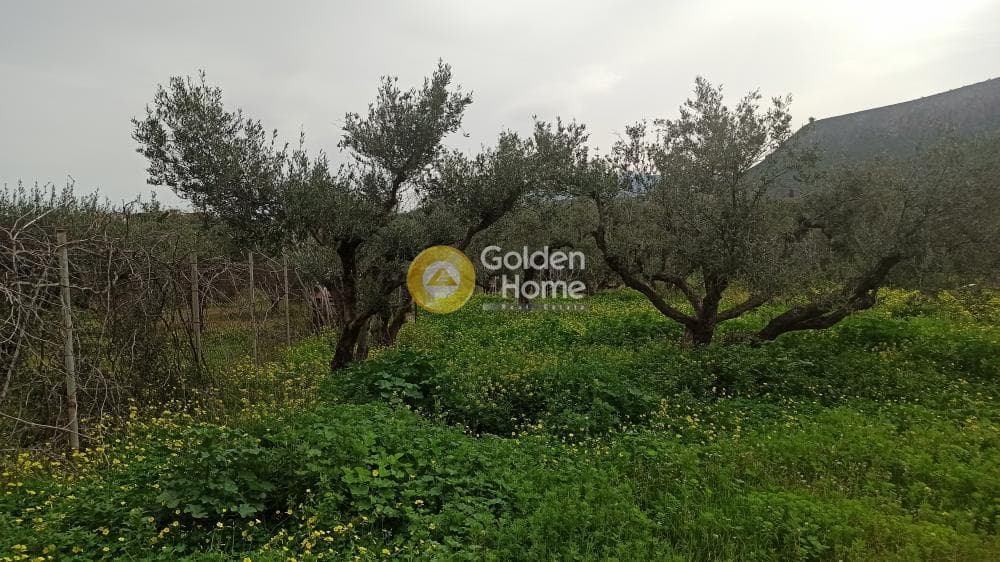 Οικόπεδο στην Κάτω Γούβες, Γούβες — Φωτογραφία 3 από 4
