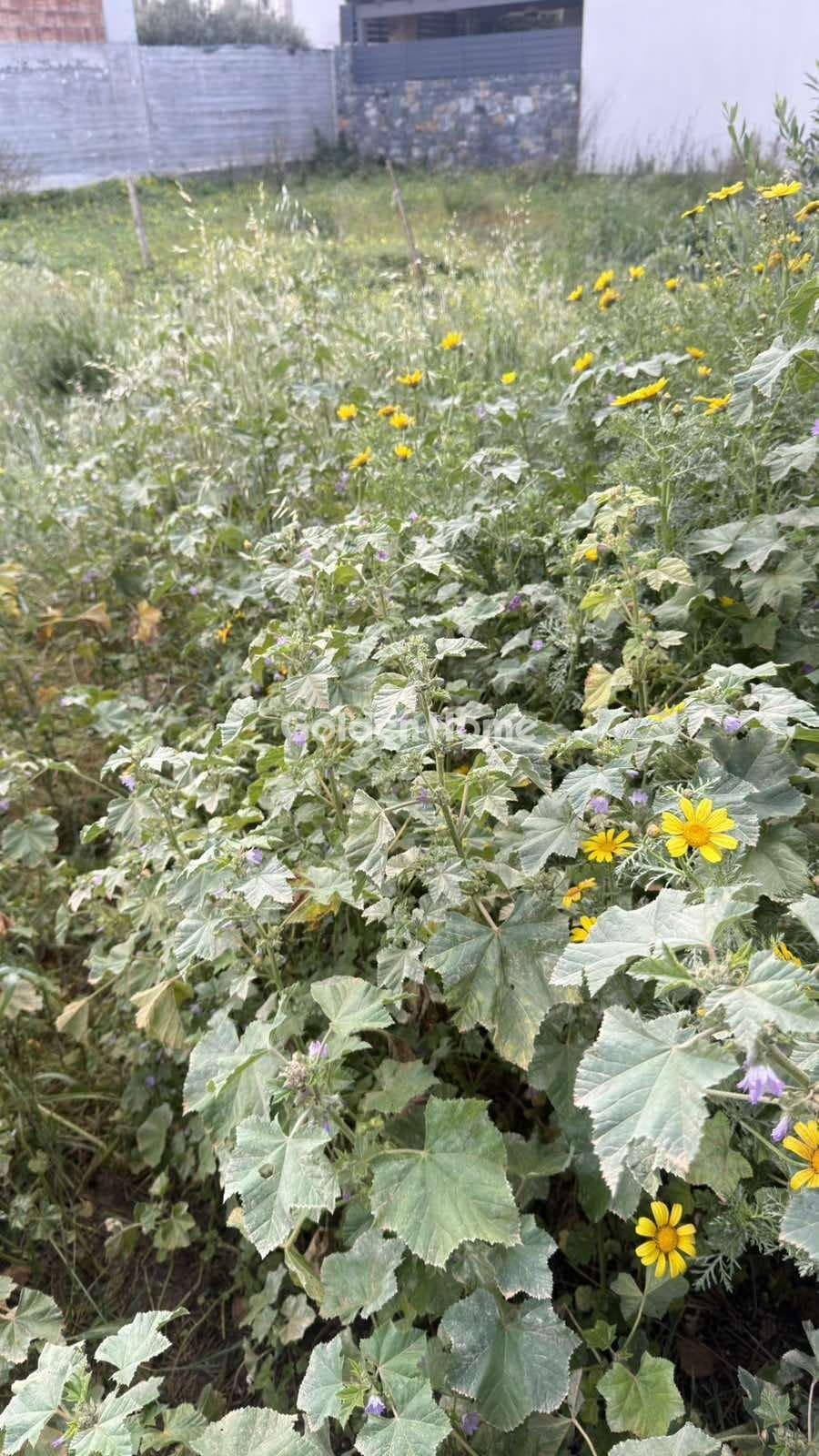 Building Plot in Rodia, Gazi — Photo 1 of 6