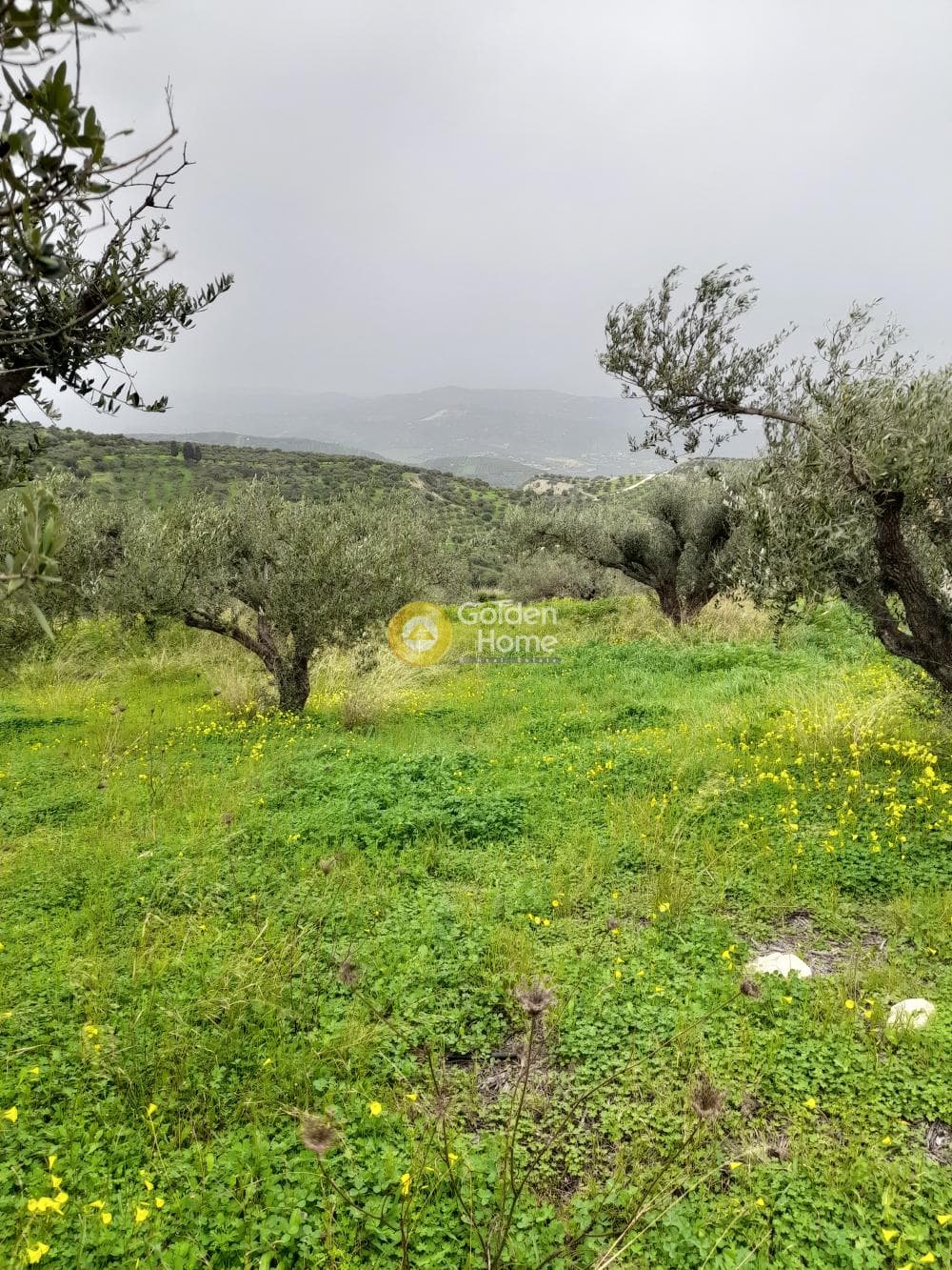Οικόπεδο στην Βασιλείες, Αρχάνες — Φωτογραφία 3 από 5