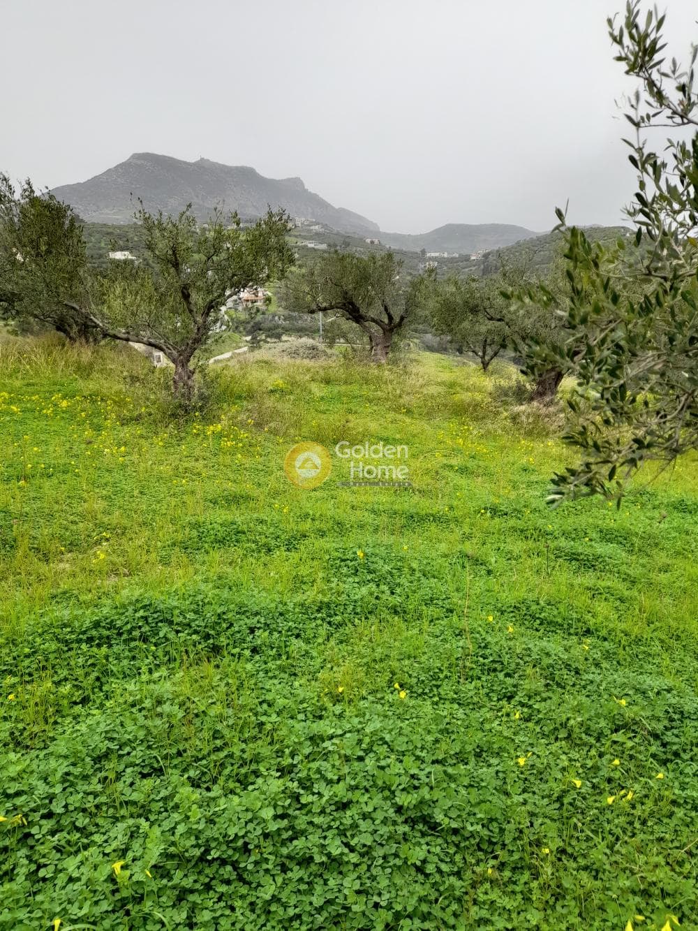 Οικόπεδο στην Βασιλείες, Αρχάνες — Φωτογραφία 4 από 5
