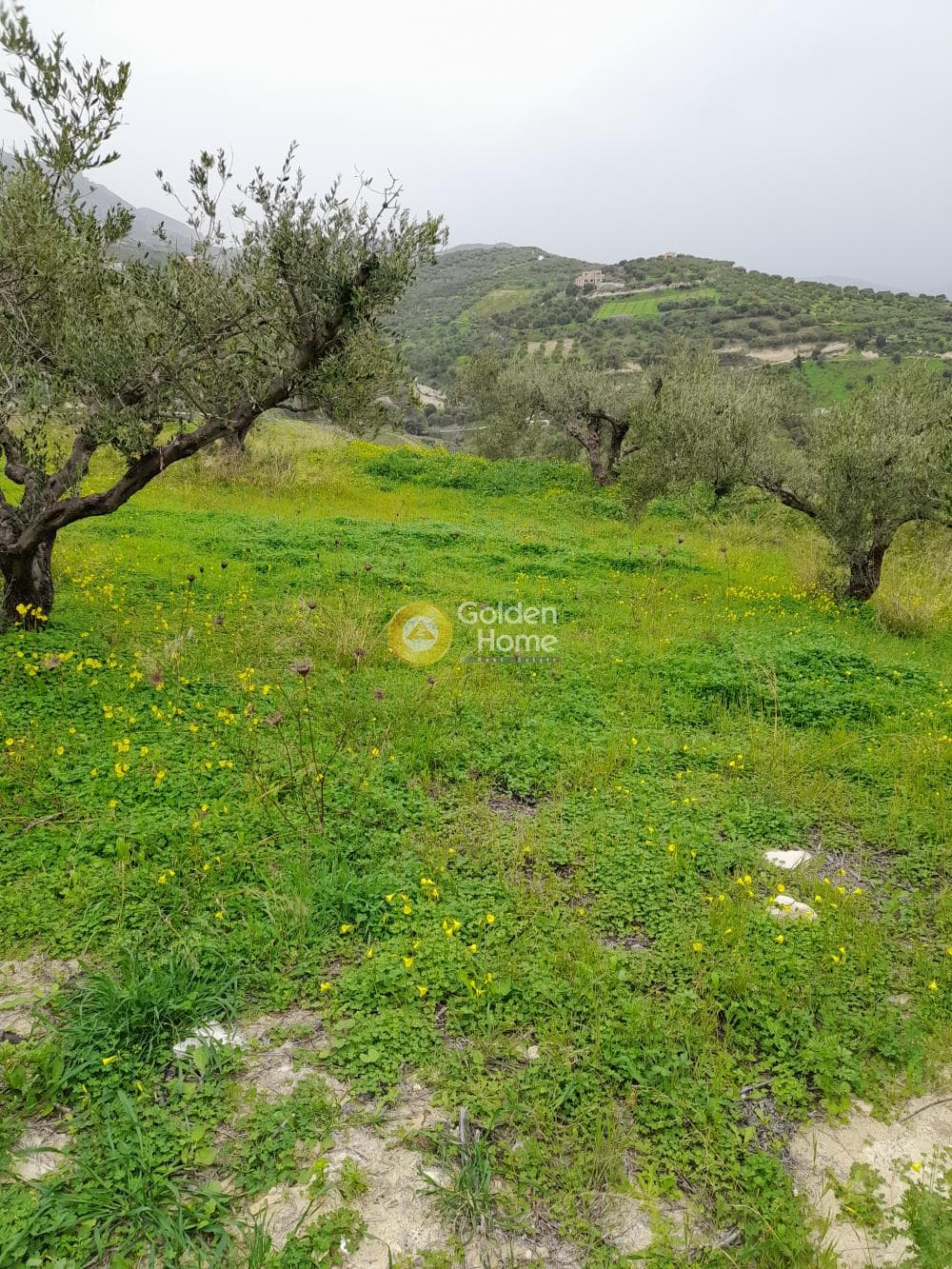 Οικόπεδο στην Βασιλείες, Αρχάνες — Φωτογραφία 5 από 5