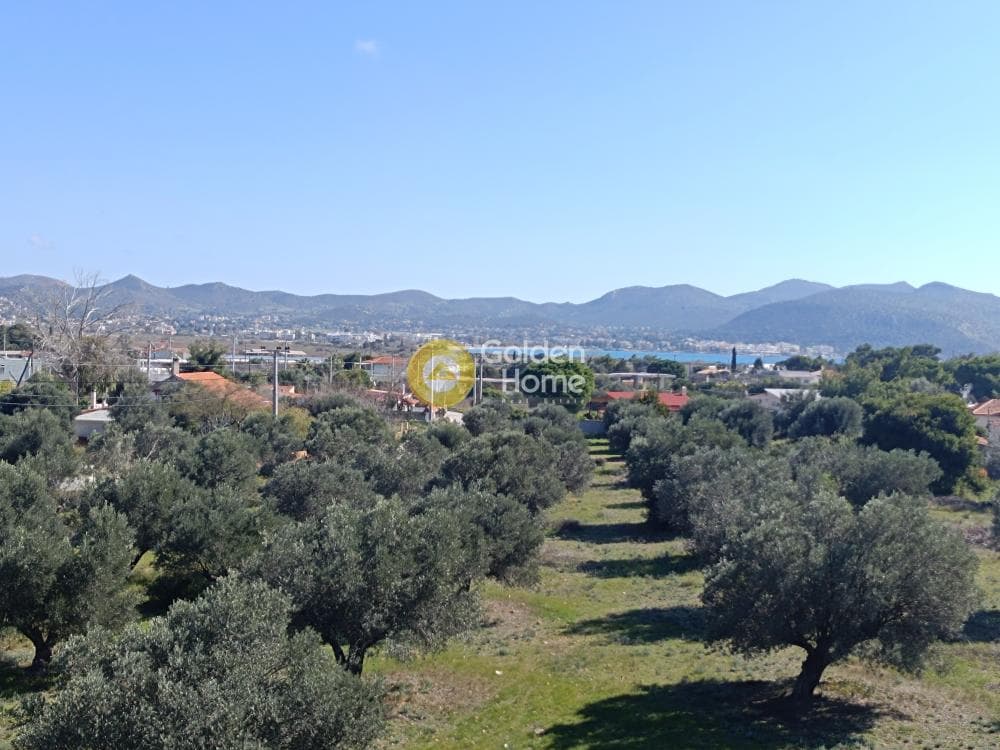 Αγροτεμάχιο στην Μαύρο Λιθάρι, Σαρωνίδα — Φωτογραφία 1 από 3