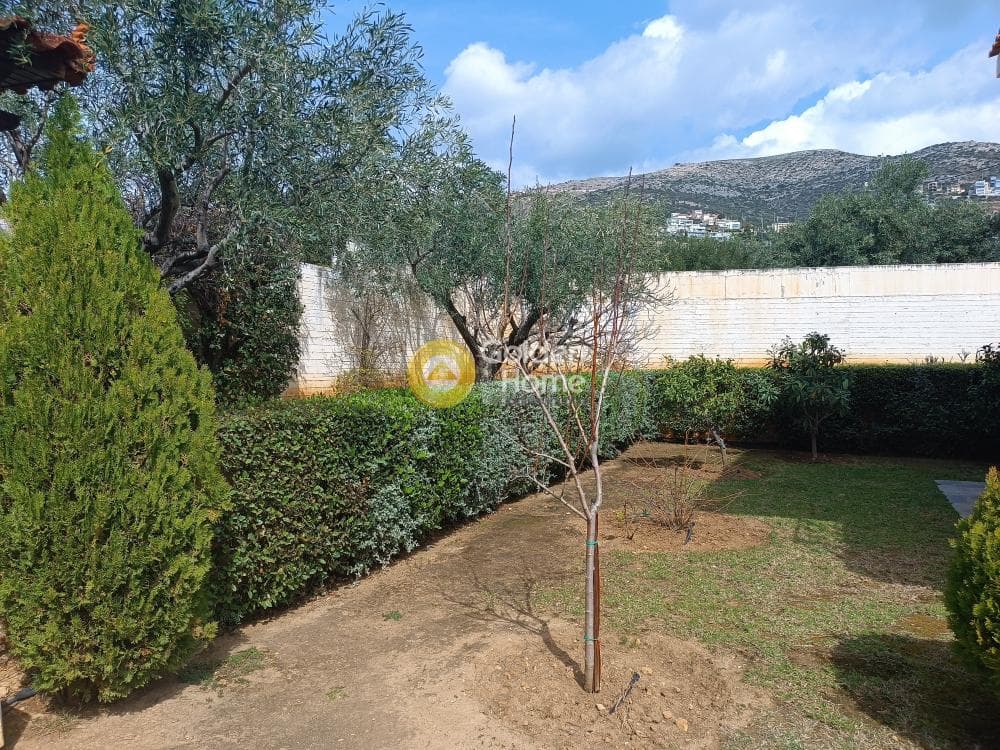 House in Alikes - Lakka, Anavissos — Photo 17 of 25