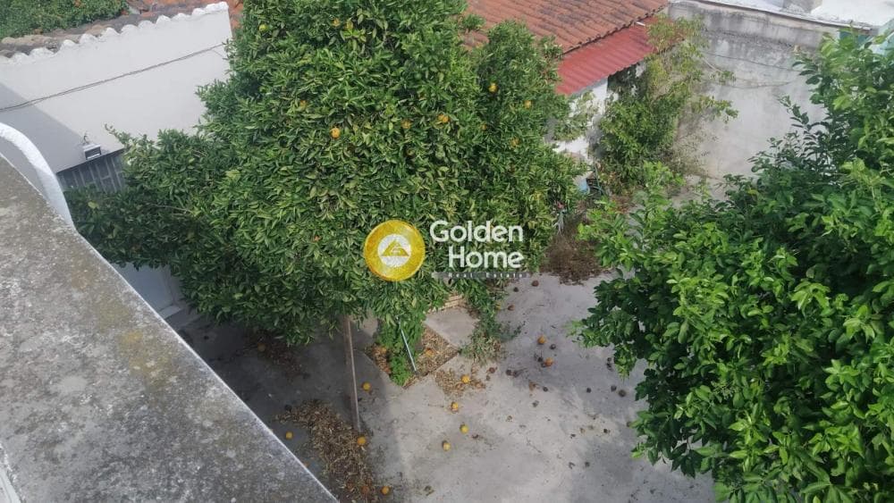 Οικόπεδο στην Μποφίλια, Μεταμόρφωση — Φωτογραφία 5 από 6