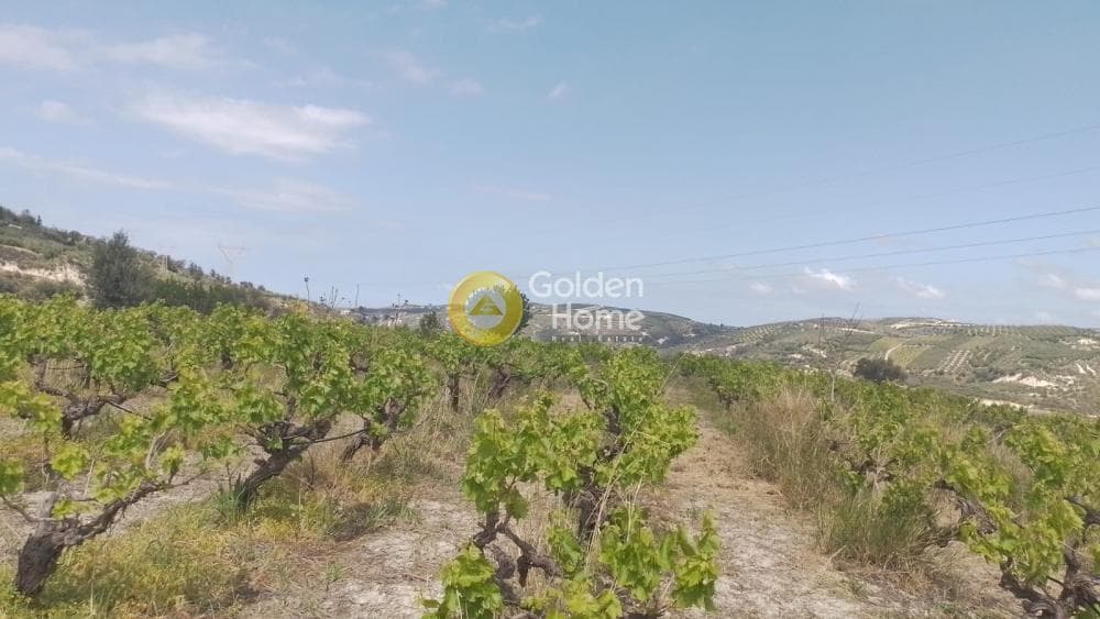 Αγροτεμάχιο στην Σταυράκια, Τετραχώρι — Φωτογραφία 1 από 2