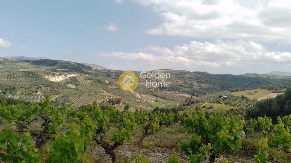 Αγροτεμάχιο στην Σταυράκια, Τετραχώρι — Φωτογραφία 2 από 2