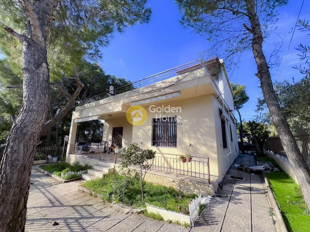 House in Anthousa, Anthoisa — Photo 15 of 18