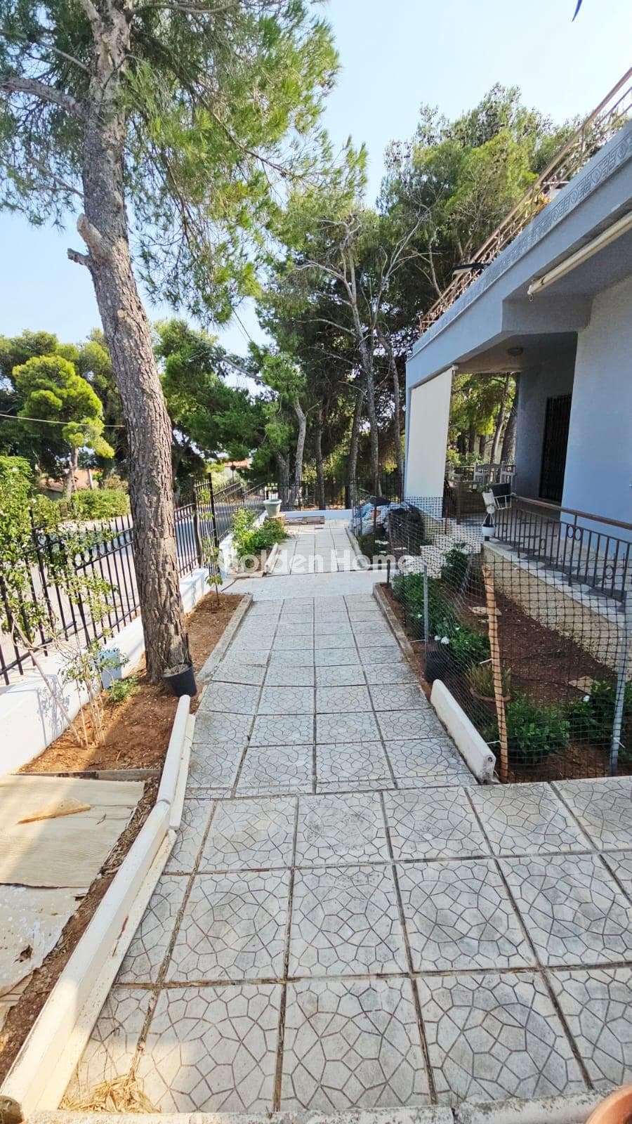 House in Anthousa, Anthoisa — Photo 4 of 18