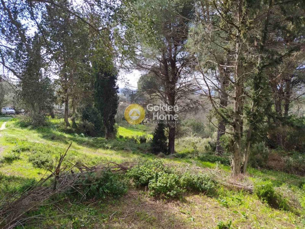 Οικόπεδο στην Όθωνοι, Κέρκυρα — Φωτογραφία 1 από 11