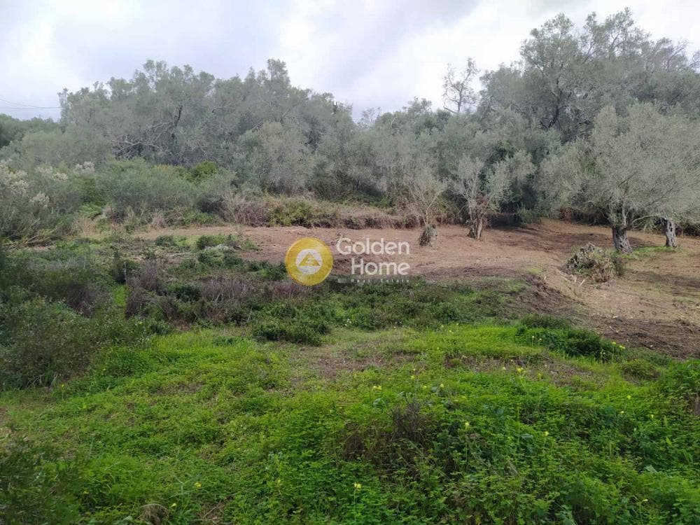 Οικόπεδο στην Όθωνοι, Κέρκυρα — Φωτογραφία 3 από 11