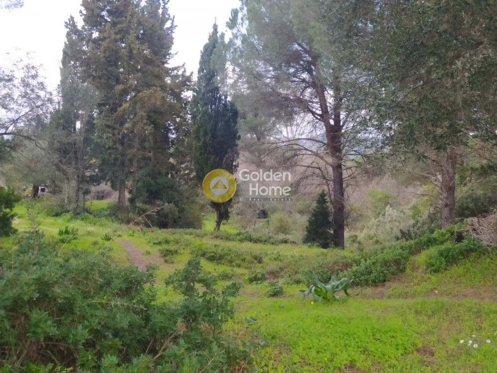 Οικόπεδο στην Όθωνοι, Κέρκυρα — Φωτογραφία 4 από 11