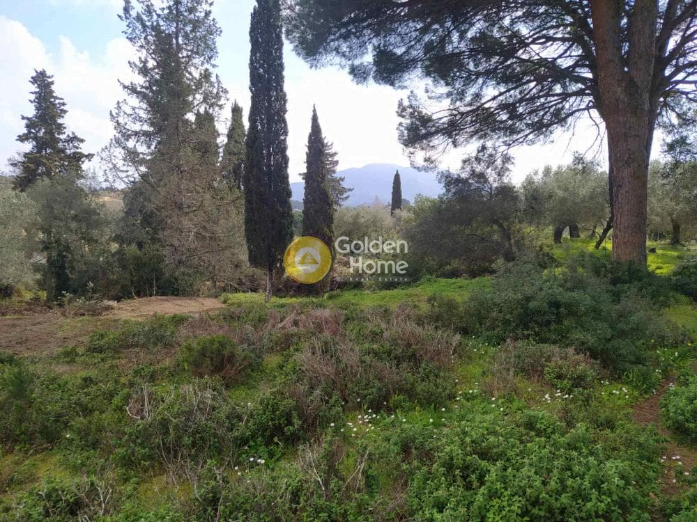 Οικόπεδο στην Όθωνοι, Κέρκυρα — Φωτογραφία 6 από 11