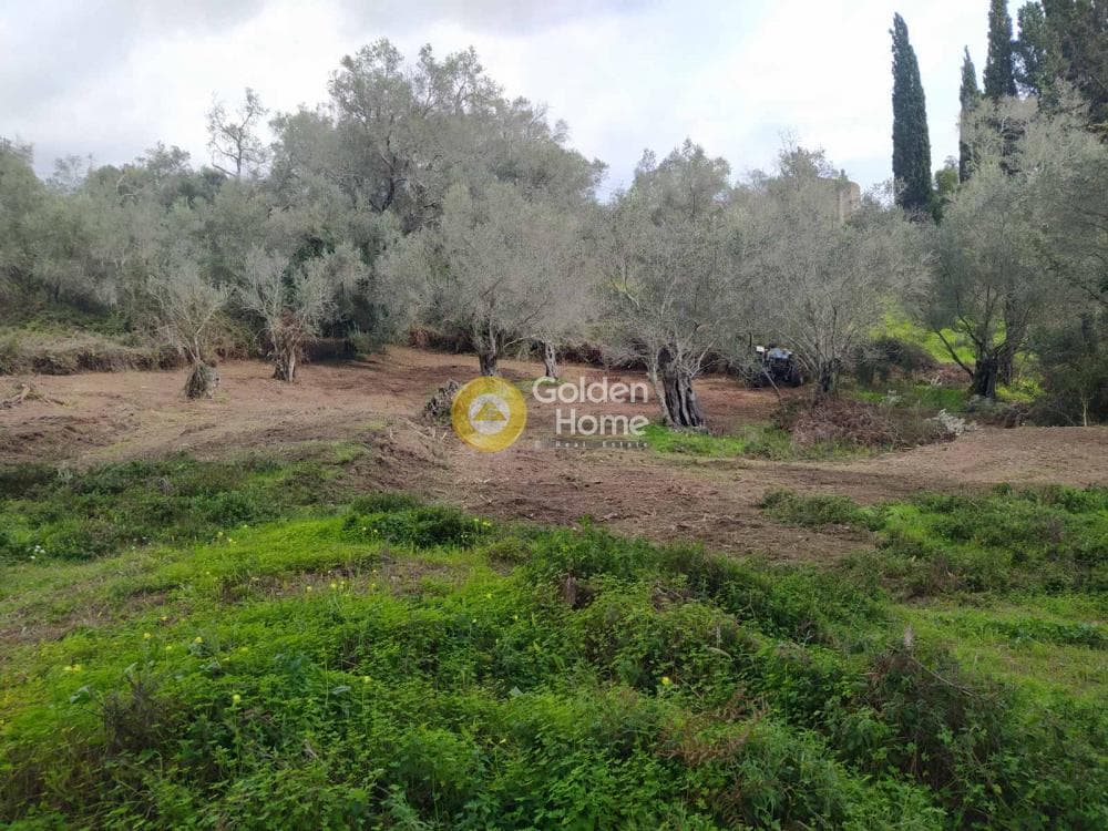 Οικόπεδο στην Όθωνοι, Κέρκυρα — Φωτογραφία 7 από 11