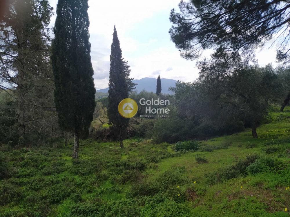 Οικόπεδο στην Όθωνοι, Κέρκυρα — Φωτογραφία 9 από 11