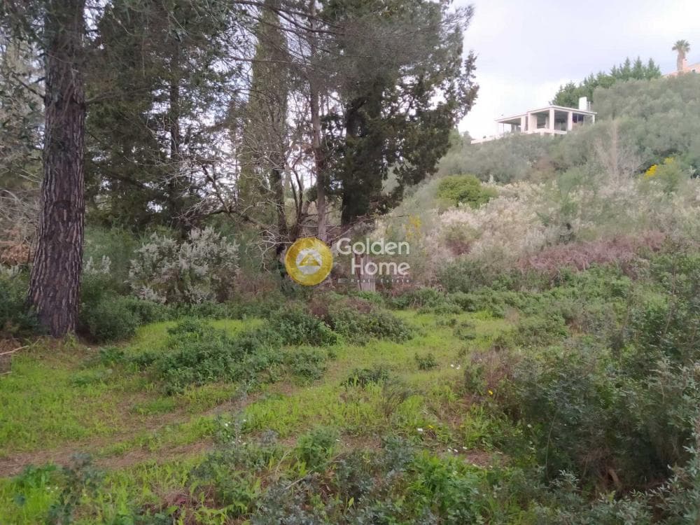 Οικόπεδο στην Όθωνοι, Κέρκυρα — Φωτογραφία 8 από 11