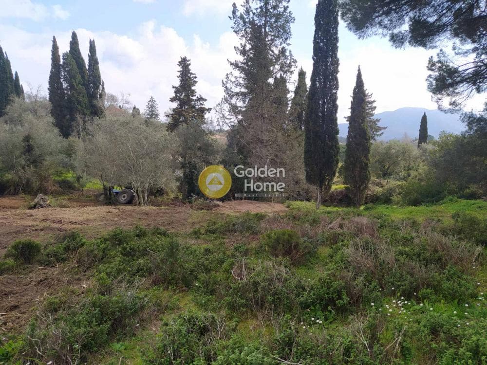 Οικόπεδο στην Όθωνοι, Κέρκυρα — Φωτογραφία 10 από 11