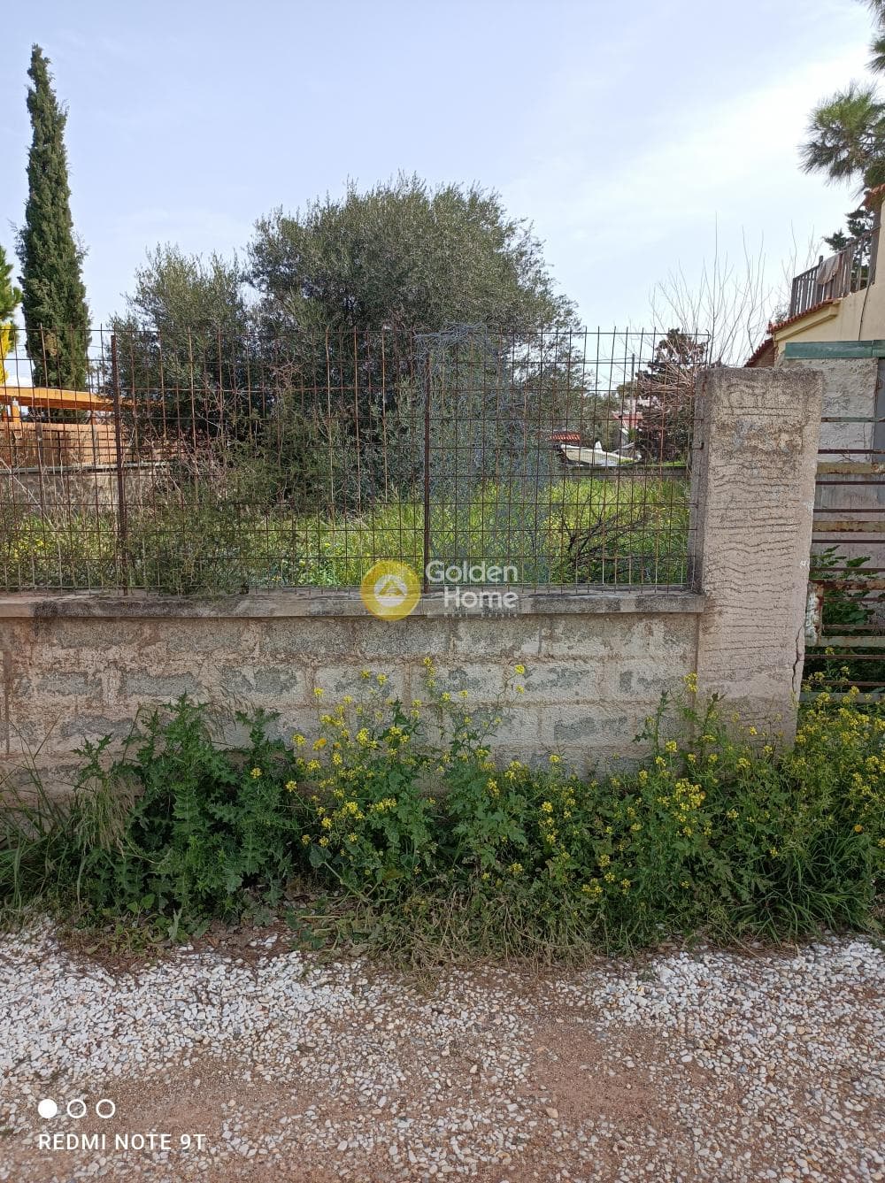 Οικόπεδο στην Βορινέζα, Αρτέμιδα (Λούτσα) — Φωτογραφία 3 από 11