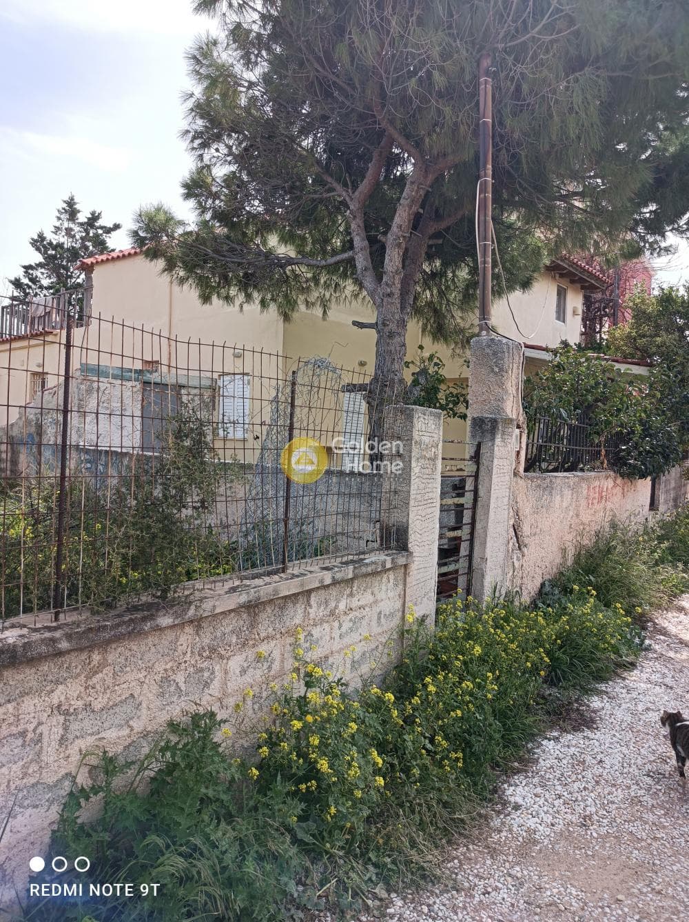 Οικόπεδο στην Βορινέζα, Αρτέμιδα (Λούτσα) — Φωτογραφία 1 από 11