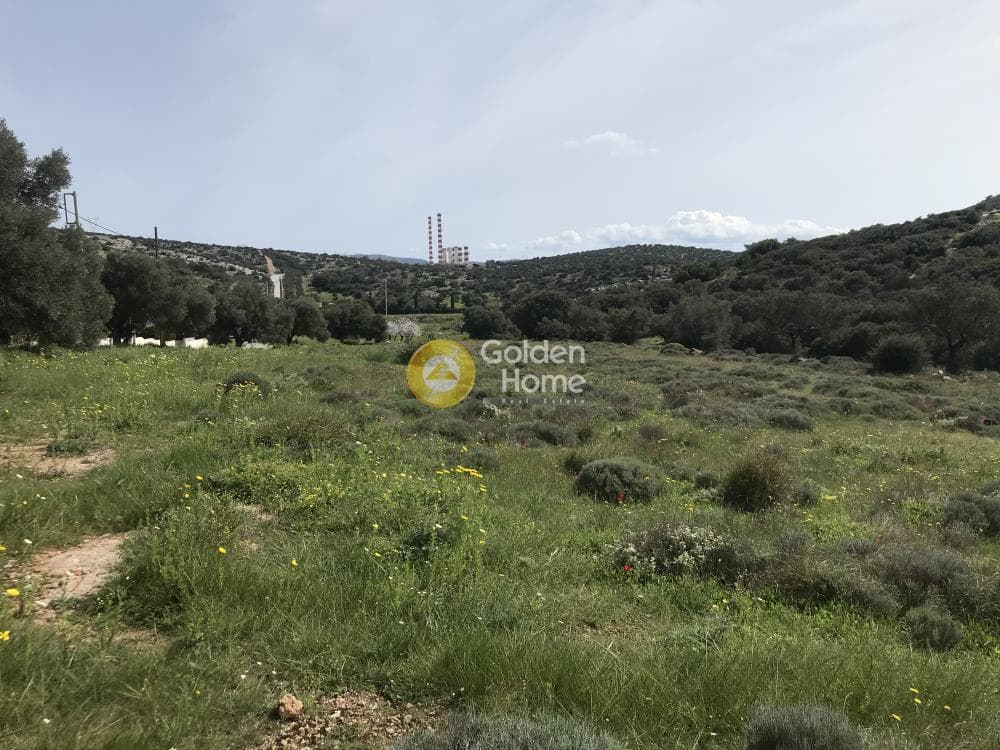 Αγροτεμάχιο στην Παλιοκαμάριζα, Λαύριο — Φωτογραφία 2 από 17
