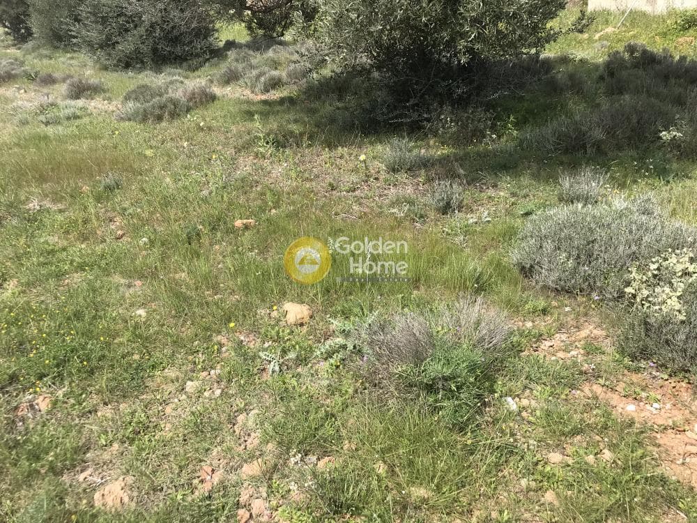 Αγροτεμάχιο στην Παλιοκαμάριζα, Λαύριο — Φωτογραφία 13 από 17