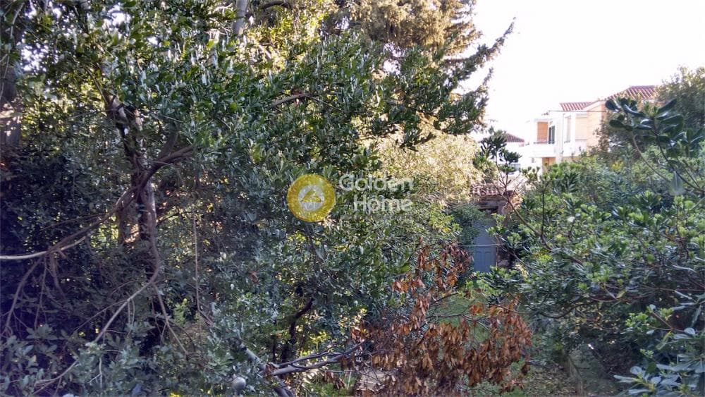 Μονοκατοικία στην Ακαδημία Πλάτωνος, Κολωνός - Κολοκυνθούς — Φωτογραφία 4 από 49