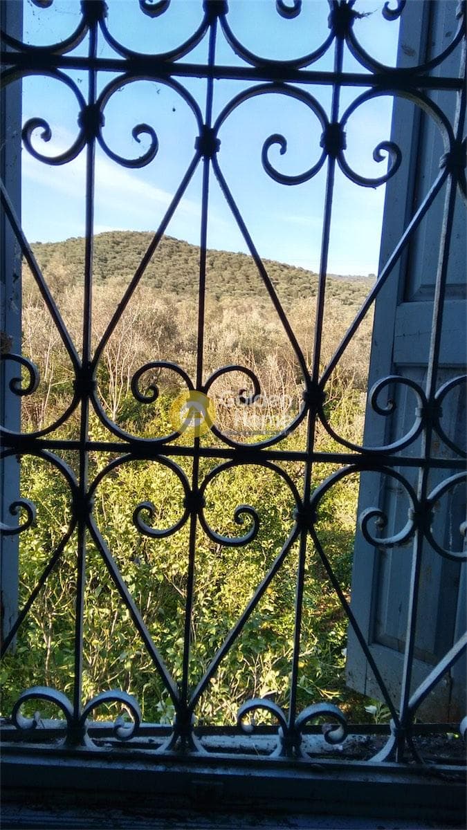 Μονοκατοικία στην Ακαδημία Πλάτωνος, Κολωνός - Κολοκυνθούς — Φωτογραφία 16 από 49