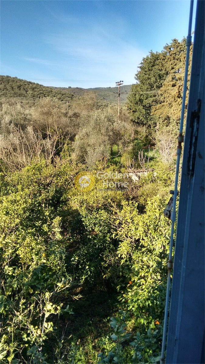 Μονοκατοικία στην Ακαδημία Πλάτωνος, Κολωνός - Κολοκυνθούς — Φωτογραφία 19 από 49