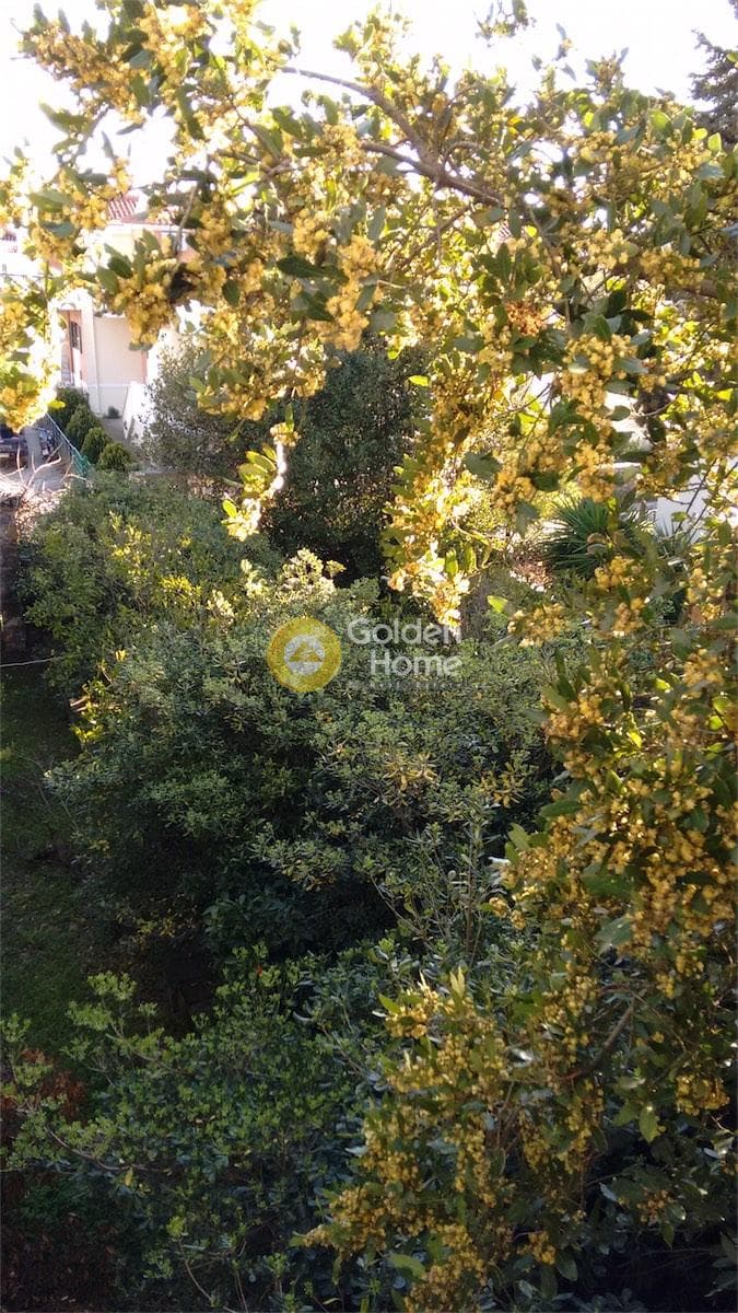 Μονοκατοικία στην Ακαδημία Πλάτωνος, Κολωνός - Κολοκυνθούς — Φωτογραφία 23 από 49