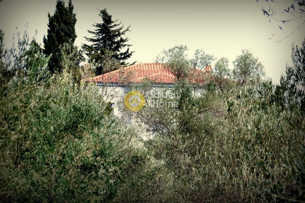 Μονοκατοικία στην Ακαδημία Πλάτωνος, Κολωνός - Κολοκυνθούς — Φωτογραφία 38 από 49