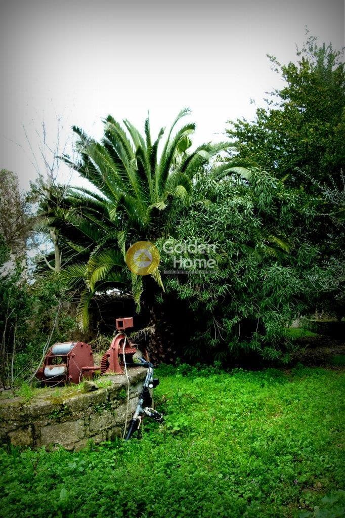 Μονοκατοικία στην Ακαδημία Πλάτωνος, Κολωνός - Κολοκυνθούς — Φωτογραφία 46 από 49