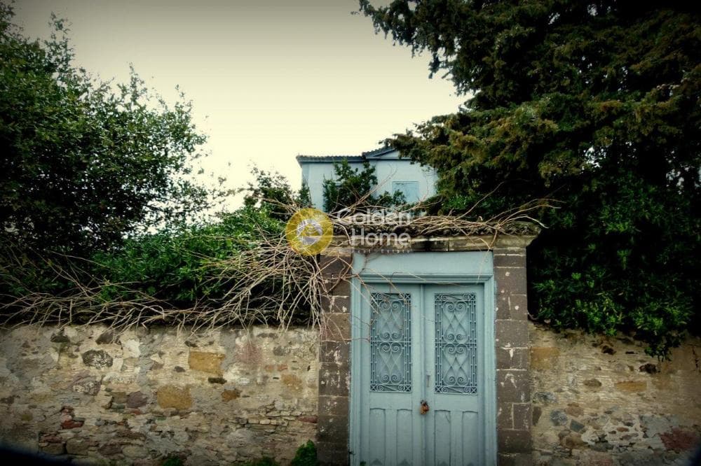 Μονοκατοικία στην Ακαδημία Πλάτωνος, Κολωνός - Κολοκυνθούς — Φωτογραφία 49 από 49